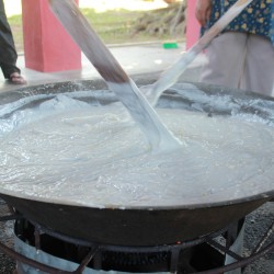 IMG 0617