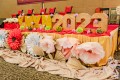DSC 8431