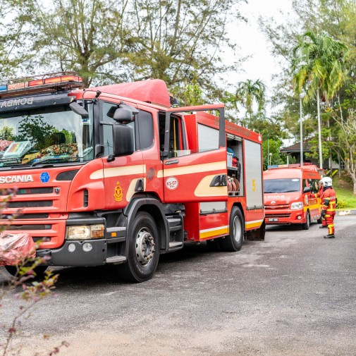 D78 4287